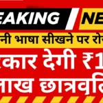 Japanese Language Scholarship